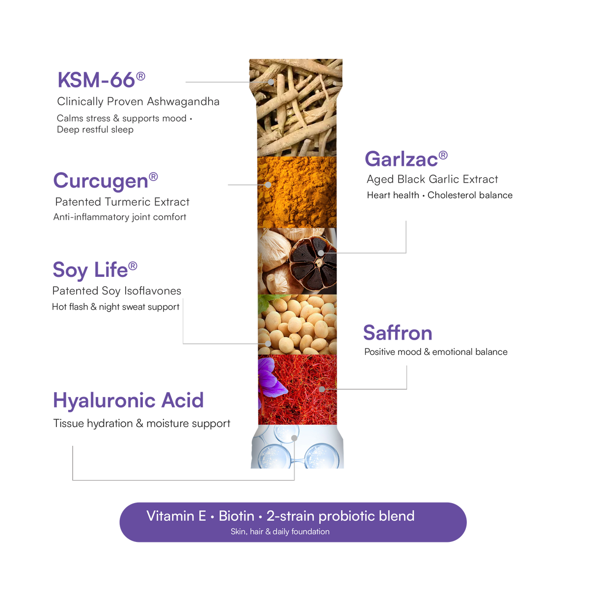 One Sachet 4 Patented Ingredients