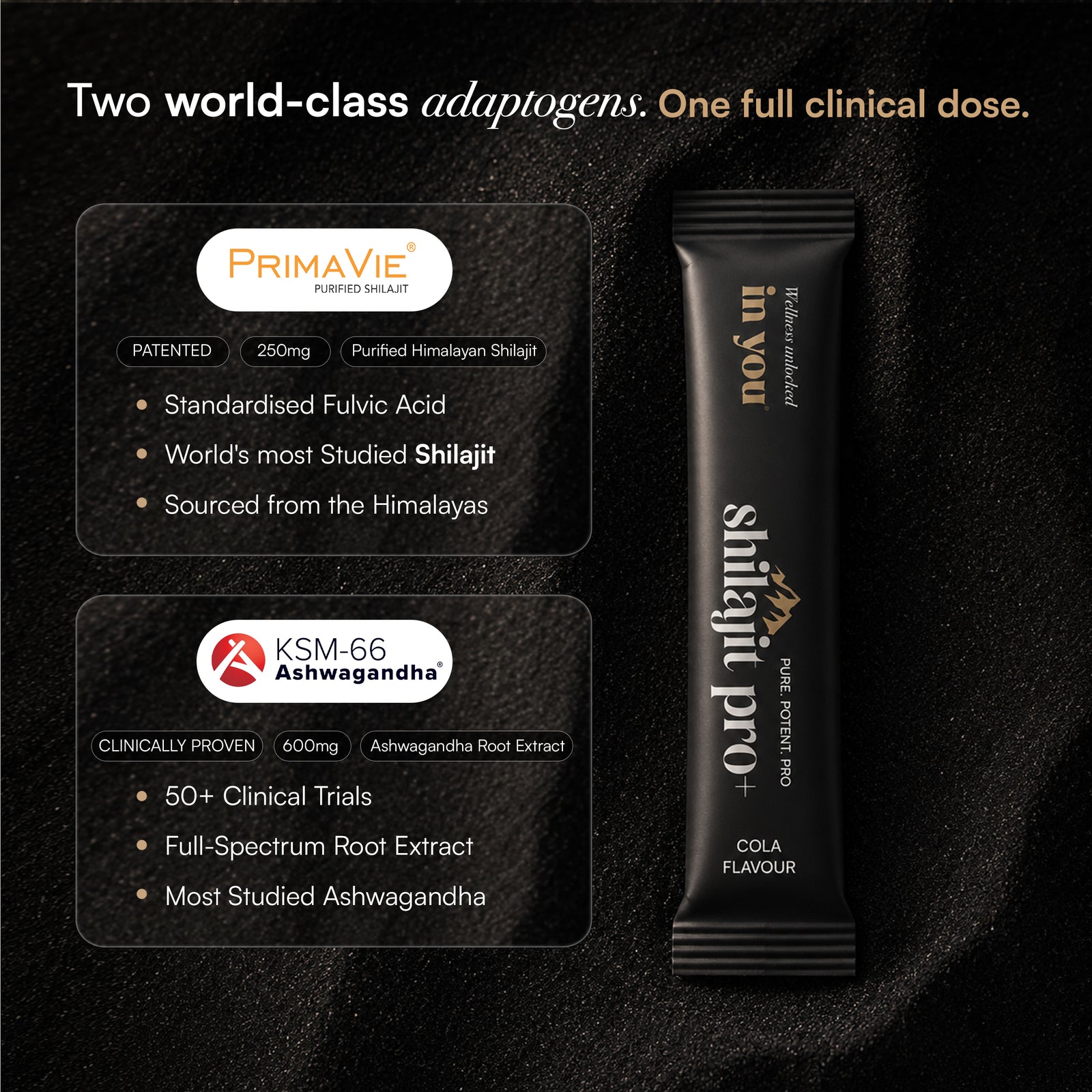 Shilajit Pro+