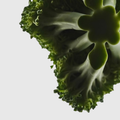 Astaxanthin