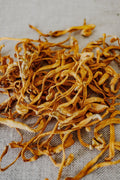 Cordyceps Extract