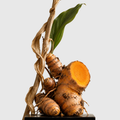 Curcugen®