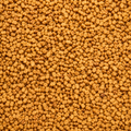 Fenugreek Extract