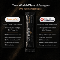Shilajit Pro+