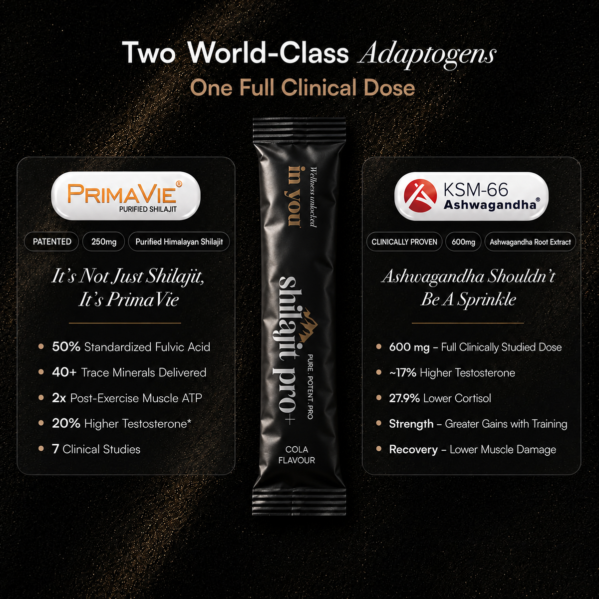 Shilajit Pro+