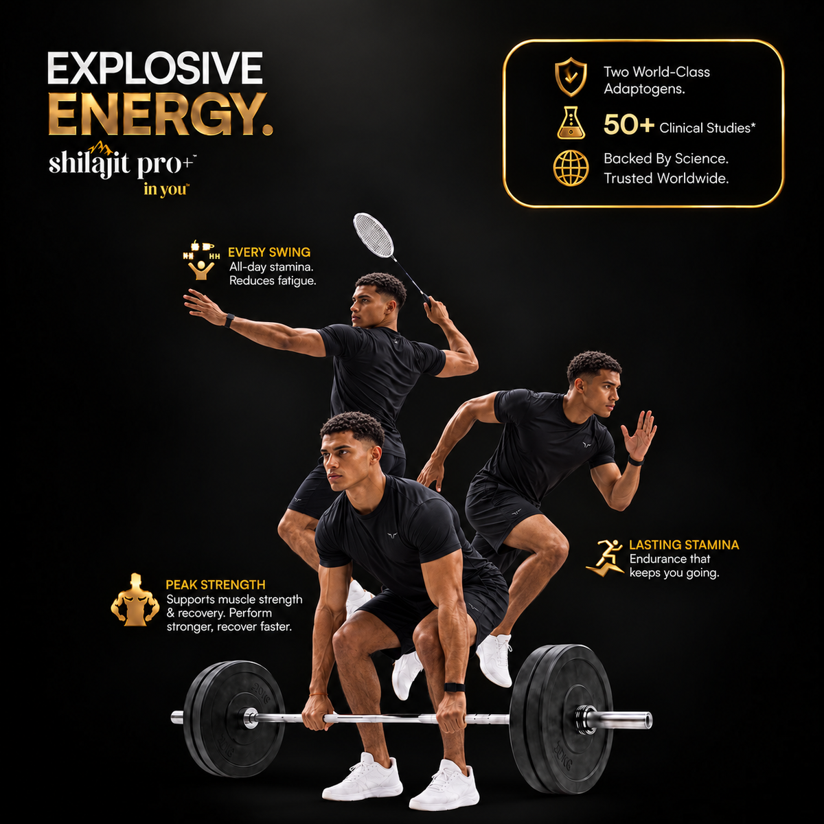 Shilajit Pro+
