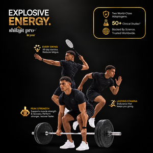 Shilajit Pro+