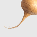 FOS Prebiotic Fibre