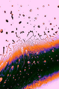Fulvic Acid