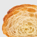 Lactobacillus reuteri