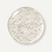 Lactobacillus acidophilus