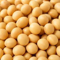 SoyLife® (Soy Isoflavones)