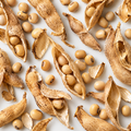 SoyLife® (Soy Isoflavones)