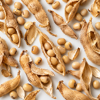 SoyLife® (Soy Isoflavones)