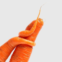 Vitamin A