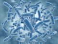Probiotics