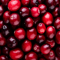 Cranberry Extract