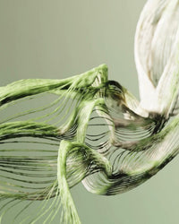 FOS Prebiotic